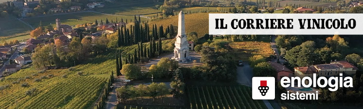 L’esperienza di Cantine di Verona con ENOLOGIA