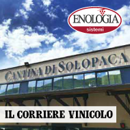 Case-history-cantina-di-solopaca_s