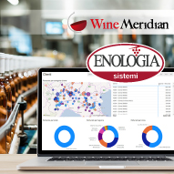 Enologia-winemeridian_s