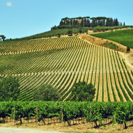 siena-convegno-etichettatura-vinicola-novita-normative-e-impatto-sui-processi-aziendali