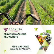 Fiera-enovitis-in-campo_s