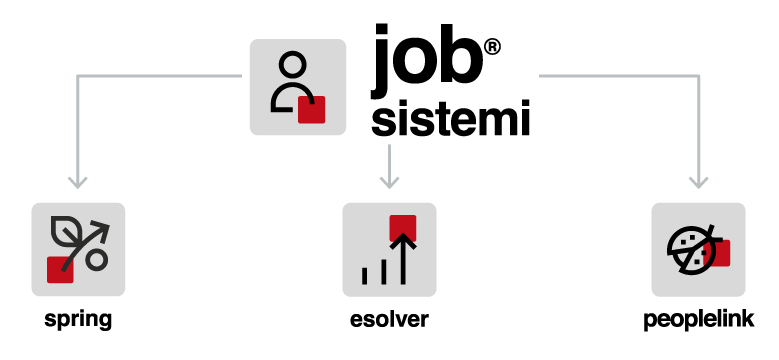 JOB Paghe per le aziende si integra con ESOLVER, SPRING e PEOPLELINK