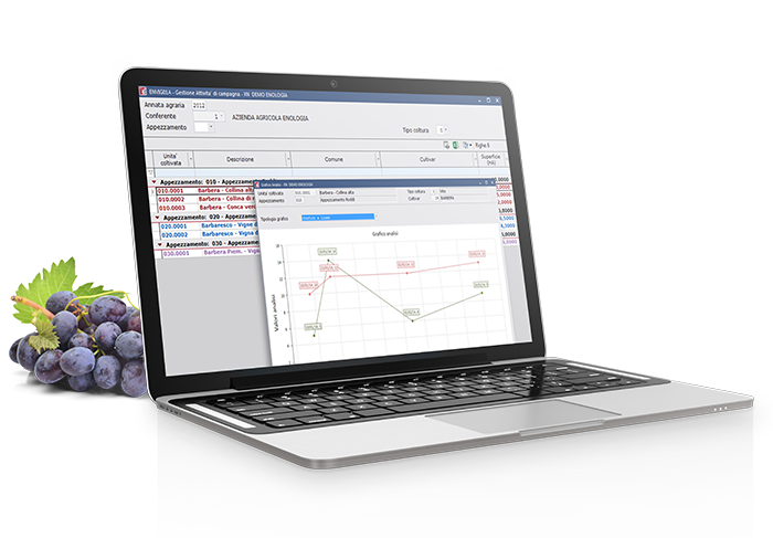 ENOLOGIA, il software per la gestione organizzativa delle attività in Vigneto, dal Piano colturale al Quaderno di campagna.