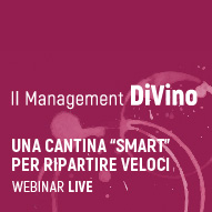 Management-divino_08-07-2021_s