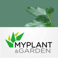 My-plant-garden_s