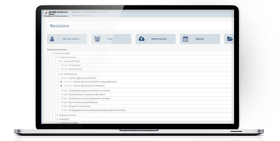 PROFIS Revisione