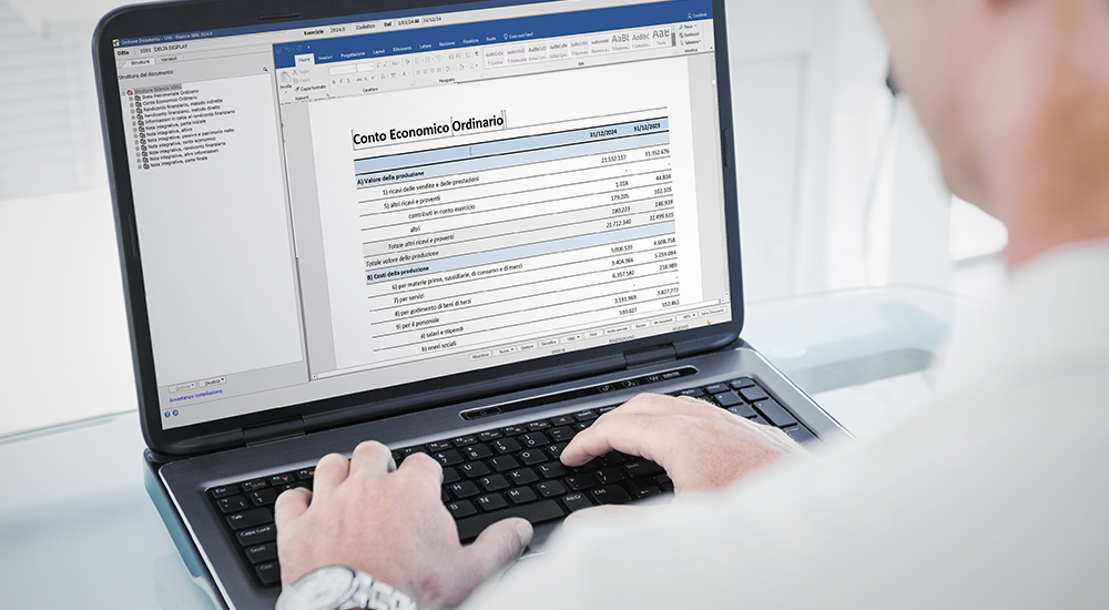 PROFIS per l'azienda Bilanci di esercizio