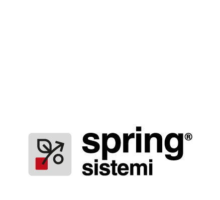 SPRING - Software gestionale per piccole aziende | Sistemi